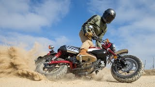 2019 Honda Monkey Review  First Ride [upl. by Regnig]