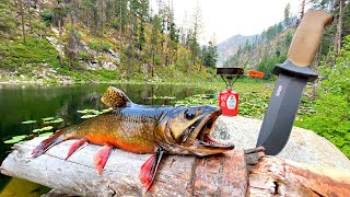 Fishing a Mountain Lake FILLED with HUNGRY TROUT Catch amp Cook [upl. by Tobe]