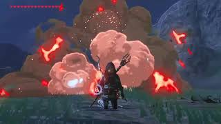 Zelda Breath of the Wild  The ULTIMATE Guardian EXECUTION [upl. by Einahpetse651]