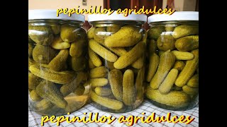 Como preparar Pepinillos en conserva facil [upl. by Babette]