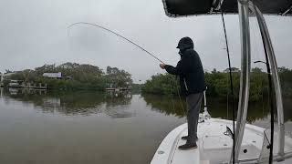 Winter Saltwater Fly Fishing in Weather [upl. by Shelah]