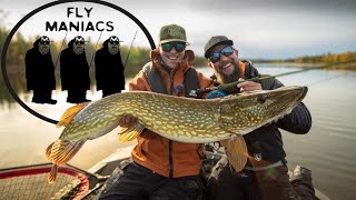 River Pike Fishing on Unknown Water l Flymaniacs l Niklaus Bauer amp Jonathan Åhström [upl. by Jobyna]