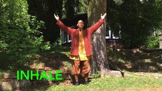 Qi Gong Breathing 7 Minutes to calm body and mind [upl. by Lamson136]