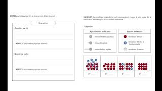 CE1D Sciences 2023 rapport dexpérience  question 10  corrigé [upl. by Litton]