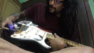 TUMBLEWEED Inc  BICHITRA  Basic Guitar Lessons [upl. by Roi]