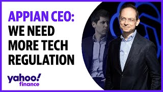 AI regulation Big Tech has far too large a voice Appian Founder and CEO [upl. by Nuhs]