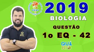 UERJ 2019  1o EQ  Questão 42  Macromoléculas polares são capazes de atravessar a membrana plasmá [upl. by Ciardap959]