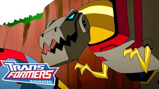 Transformers Animated  S01 E12  FULL Episode  Cartoon  Transformers Official [upl. by Boswell]