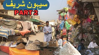 سیہون شریف Sehun Sharif Part 2 Abdullahkhan [upl. by Iiette]