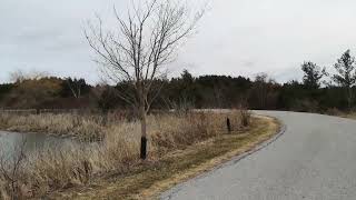 RougeView Dog Park WhitchurchStouffville [upl. by Mada]