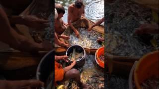 Lot of fish on net fishing villagelife [upl. by Weir431]