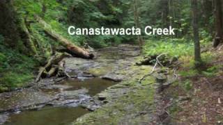 Scenes of the Finger Lakes Trail in Chenango County [upl. by Mercie936]