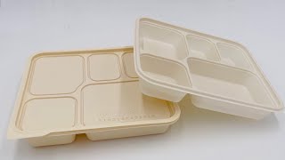 Thermoforming Machine For Making Eco Friendly Food Plate Meal Tray [upl. by Roswald]