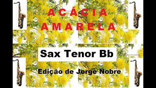 🎵🎷Sax Tenor ACÁCIA AMARELA  HOMENAGEM de Luiz Gonzaga à MAÇONARIA Edição de Jorge Nobre [upl. by Aime]