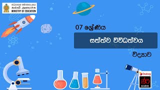 සත්ත්ව විවිධත්වය  විද්‍යාව  7 ශ්‍රේණිය [upl. by Radu]