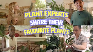 6 houseplant pros share their favourite — and most unique — plants  Houseplanted [upl. by Adnihc533]