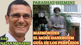 Parashat Shemini Maimonides El More Hanebujim Guia de los Perplejos rab Natan Menashe [upl. by Rog142]