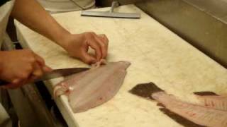 Fluke  ひらめの三枚おろし  Taros Fish Toronto Canada [upl. by Trauner231]