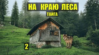 ВОЛК ПРИХОДИТ к СОБАКЕ ВОЛКОДАВ СЛУЧАЙ в ТАЙГЕ СУДЬБА ДОМ в ЛЕСУ ЖИВОТНЫЕ ИСТОРИИ из ЖИЗНИ СЕРИАЛ 2 [upl. by Aivatra]