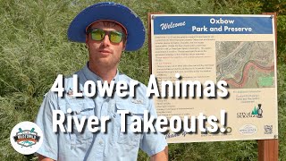 4 Popular Take outs on The Lower Animas River [upl. by Bolme810]