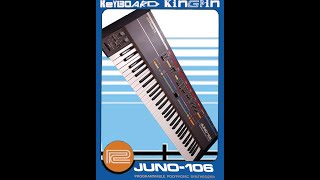 Roland Juno 106 amp Rolanda Beat Feat Roland TR33 TR606 SH101 EM101 Boss DB33 DR110 No Talk [upl. by Karlyn]