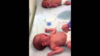 Newborn Twin Boys Cry [upl. by Norbel]