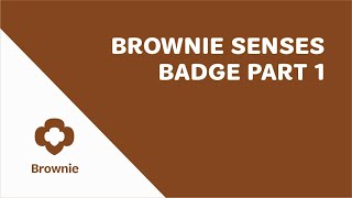 Brownie Senses Badge  Part 1 [upl. by Eveiveneg]