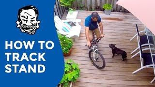 How to track stand on any bike [upl. by Stichter]