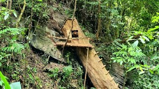 Make shelter in a giant rotting tree trunk cook and spend the night in the forest alone [upl. by Alison]