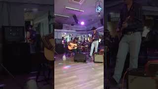 Hound Dog Live at Carriage House [upl. by Orag523]