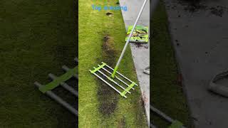 Lawn top dressing emilygarden australialife topdressing grass lawnmaintenance lawncare sydney [upl. by Ansilma]