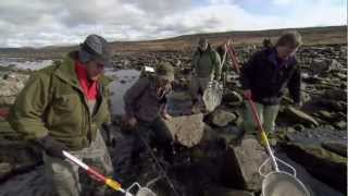 For mye fisk på Hardangervidda [upl. by Yra]