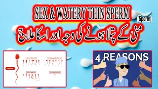 Sex And Watery Thin Sperm I Mani Ka Patla Hona I DrZahid Ansari I sexandwatery [upl. by Nilre415]