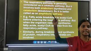 Biology  Amphibolic pathway and Respiratory Quotient [upl. by Tebasile]