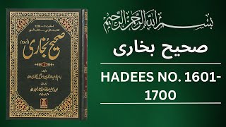 Sahih Bukhari Hadees No 1600 To 1700  Hadees in Urdu  Sahih Bukhari Hadees [upl. by Longwood]