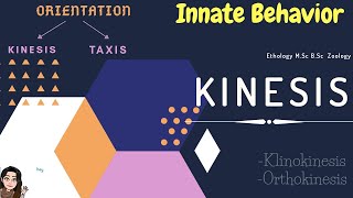 Kinesis Orientation Types of Kinesis Klinokinesis amp OrthokinesisEthology KinesisTaxisTrophism [upl. by Fiann]