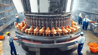 This is how the largest chicken factory works The machine that slaughters 10000 chickens in 1 hour [upl. by Adnof]