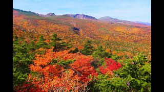 JG8K HDR 福島 安達太良山の紅葉 手軽に行ける絶景紅葉 FukusdhimaAdatarayama in Autumn [upl. by Banky]