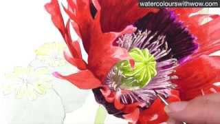 How to paint a realistic poppy centre in watercolor by Anna Mason [upl. by Shirk]