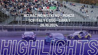 TCR Italy e DSG  HIGHLIGHTS  ARW Monza  Gara 1 [upl. by Pasadis]