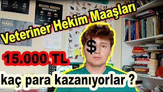 VETERİNER HEKİM MAAŞI   Kaç PARA Kazanıyorlar [upl. by Mercedes]