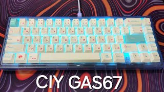 Glorious Panda Tactile Switch w GAS67 [upl. by Smith]