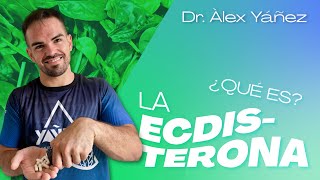 QUÉ ES LA ECDISTERONA por ALEX YANEZ [upl. by Annekam]