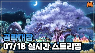 메M 2번째 오리지널 신직업  메이플스토리M  공략대장 [upl. by Tenom]