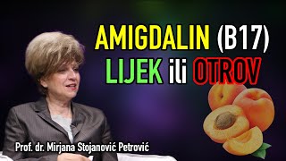 AMIGDALINB17  LIJEK ili OTROV  Mirjana Stojanović Petrović [upl. by Donatelli]