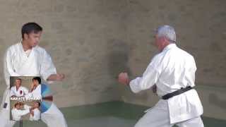 Karate Bunkai  JeanFrançois Tisseyre et Didier Lupo [upl. by Dannie389]