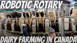 Touring a Farm With a Robotic Rotary Milking Parlor [upl. by Adora]