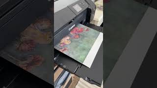 giclée highquality print of artwork using special inkjet printer making detailed vibrant print [upl. by Daht]