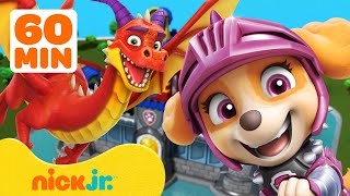 PAW Patrol  Aventuras de dragones y rescates 🐉 1 hora  Nick Jr [upl. by Hanoj972]