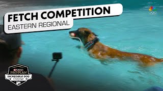 Incredible Dog Challenge Fetch It Eastern Regional  NBC Sports [upl. by Leugim]